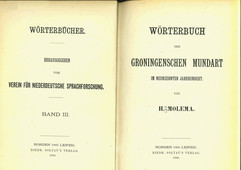 Wörterbuch der groningenschen Mundart im neunzehnten Jahrhundert